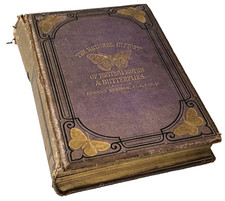 Natural History British Moths