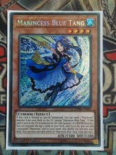 Marincess Blue Tang CHIM-EN004