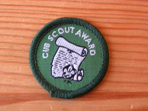 Scouting discontinued - scouting,