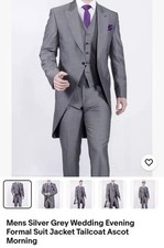 Silver Grey Tail Suit