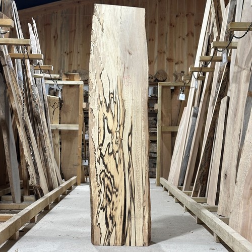 Spalted hornbeam plank board - hornbeam,