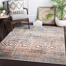 Modern Large Area Rugs Living Room Floor Rug - Home Décor Oriental Carpet 4006
