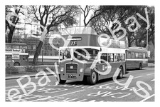 Bus Photograph SOUTHDOWN NBC