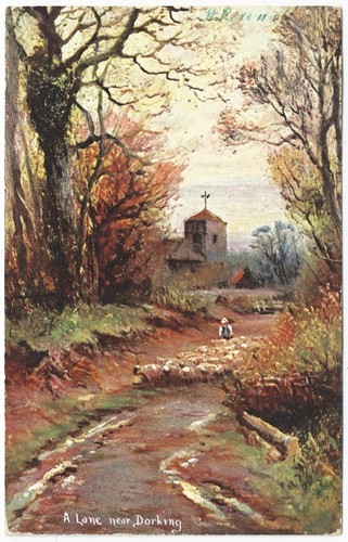 Dorking lane near artist - dorking,