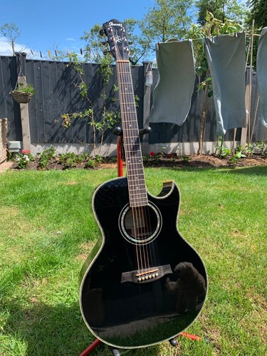 Ibanez jsa acoustic - ibanez, 10