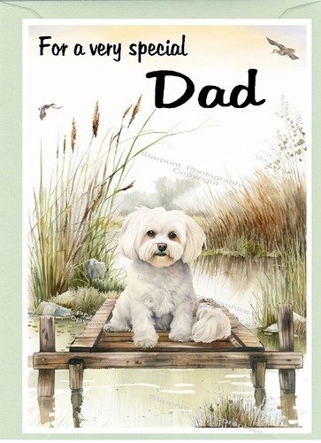 Maltese dog blank card - maltese,
