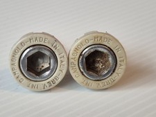 Pair of Campagnolo Crank Bolts