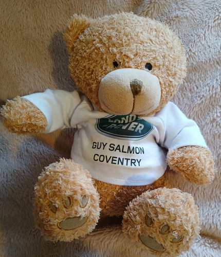 Land rover guy salmon - land,