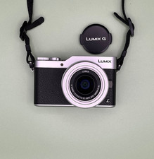 Lumix GX800K Mirrorless