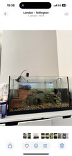 Fish/turtle Both Of Them 100£. 80x45x35 Turtle Tank. 93x50x42 Fish Tank