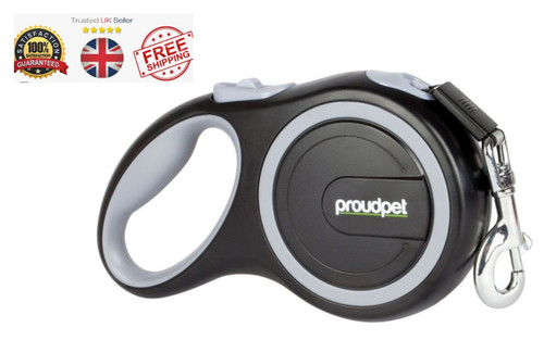 Retractable dog lead - dog,