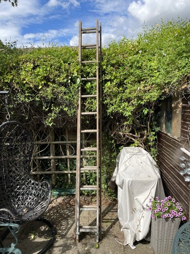 Wooden extendable ladders - wooden, 10ft