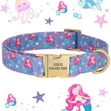 Fancy Floral Dog Collar