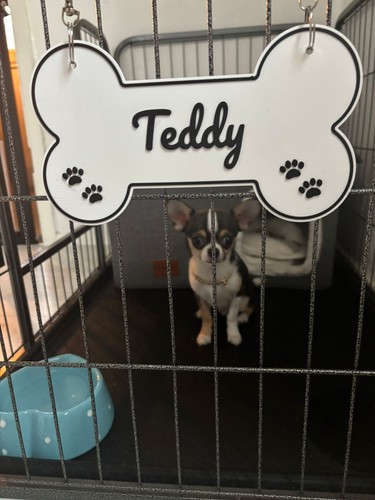 Personalised dog - personalised,