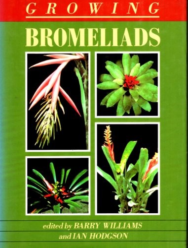 Growing bromeliads williams - bromeliads,