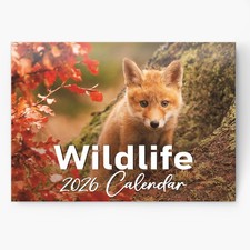 2026 British Wildlife Calendar Wall Monthly Planner Family Home Organiser
