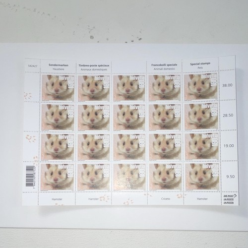 Switzerland pets hamster - pets,