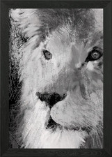 Lion Framed Wall Art Poster