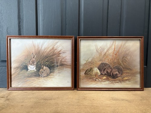 Mike nance prints hedgehogs - mike,