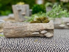 Unusual Log Textured Earthy