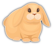 Mini Lop Rabbit Car Bumper