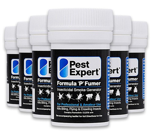 Pest expert carpet - carpet, killer
