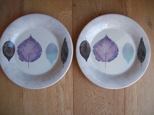 Portmeirion dusk dinner plates - dusk,