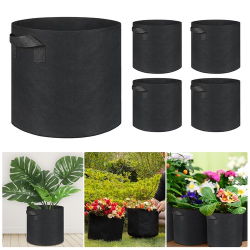 5pack 25cm plant - plant, bags