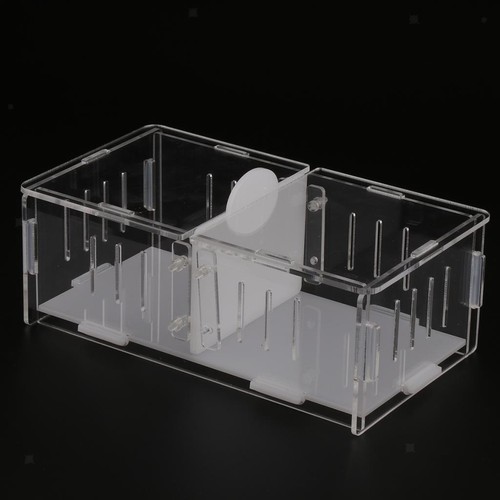 Spider tank vivarium cage - tank,
