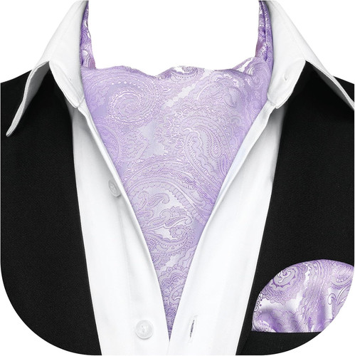 Ascot ties for men paisley - ties,