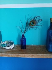 Peacock Feather Ornament In