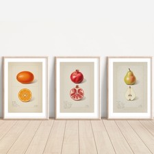 Set of 3 Antique Inspired