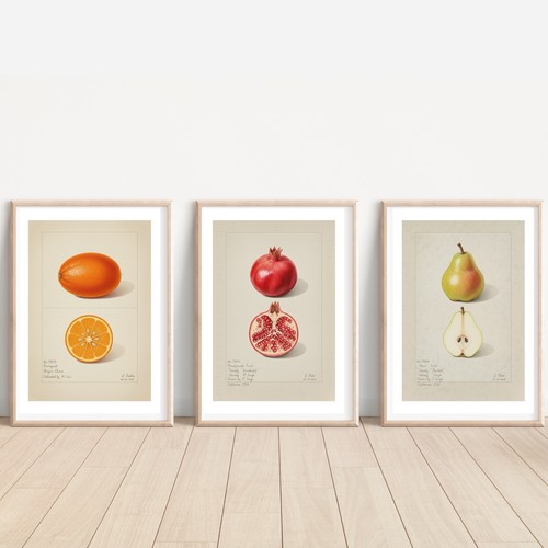 Set antique inspired - set, 3