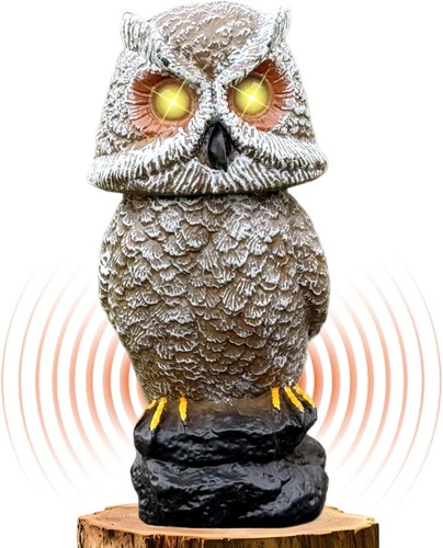 Solar lighted eyes - lighted, sounds