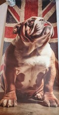 English Bulldog Union Jack