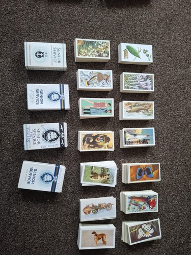 Sets tea cards 16 - sets,