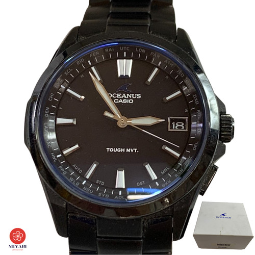 Casio oceanus manta - casio,