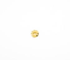 Daiwa Infinity-X BR Worm Shaft