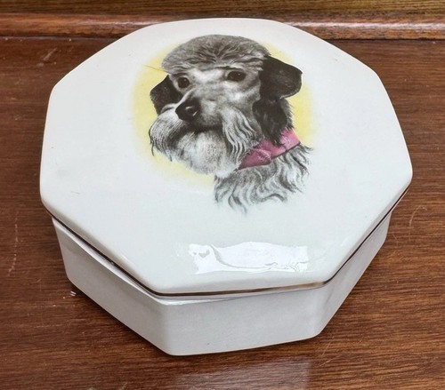 Gray poodle octagonal - gray,