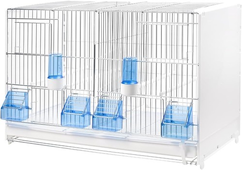 2gr canary and finch - 2gr,