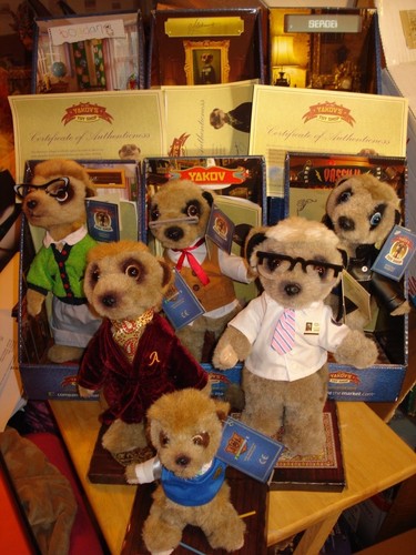 Bnib compare the meerkat - compare,