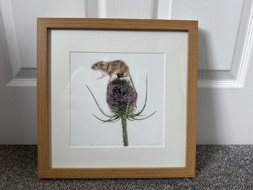 Kimberley dewhurst one small - dewhurst,