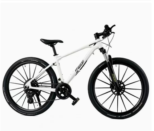 Mini decorative bike 1 6 - mini,