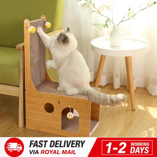 Cat tree scratching - tree,