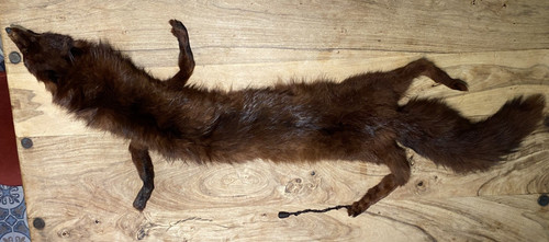 Vintage antique real fox - vintage/antique,