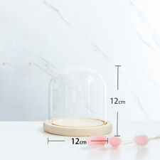 Glass Display Dome Bell Jar