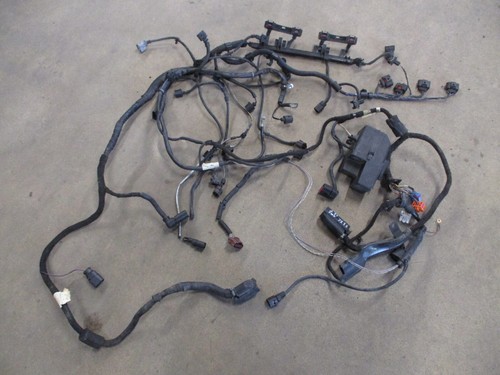 Genuine engine wiring - genuine, harness