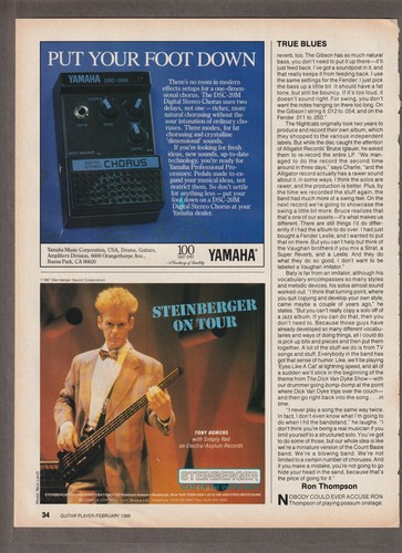 1988 steinberger bass mag - bass,
