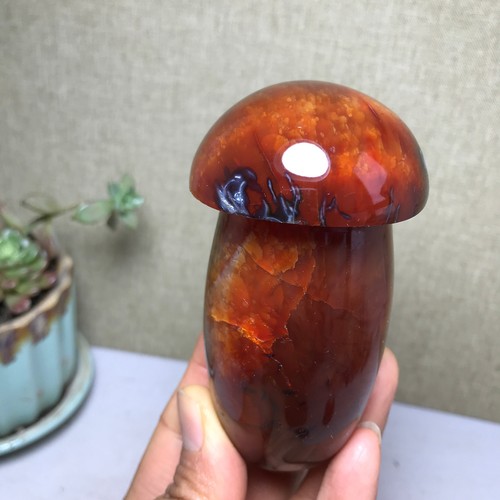 Natural red agate mushroom - red,