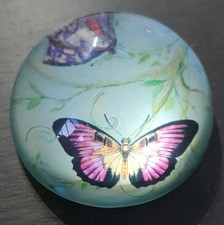 Vintage Dome Glass Paperweight